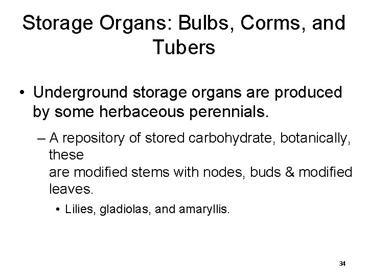 Storage Organs: Bulbs, Corms, and Tubers • Underground storage organs are produced by some