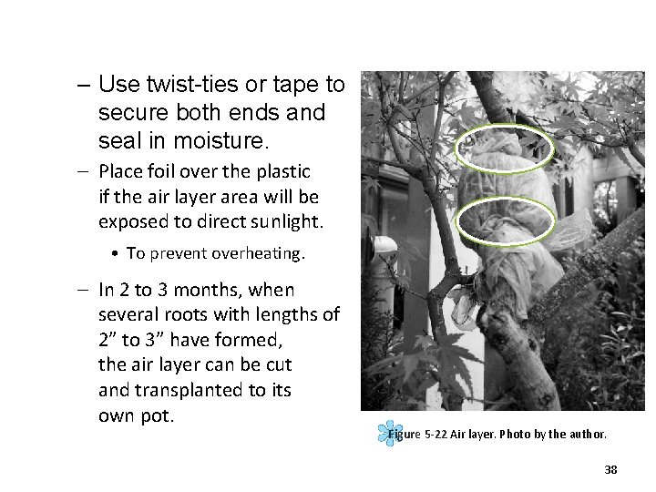 – Use twist-ties or tape to secure both ends and seal in moisture. –