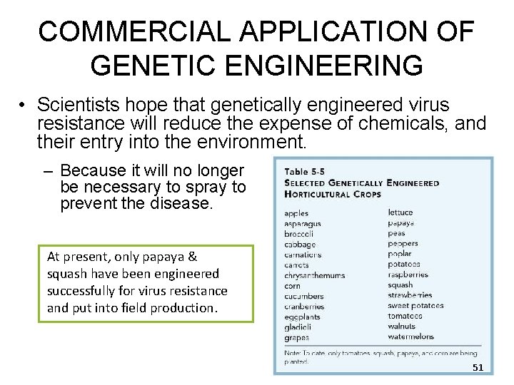 COMMERCIAL APPLICATION OF GENETIC ENGINEERING • Scientists hope that genetically engineered virus resistance will