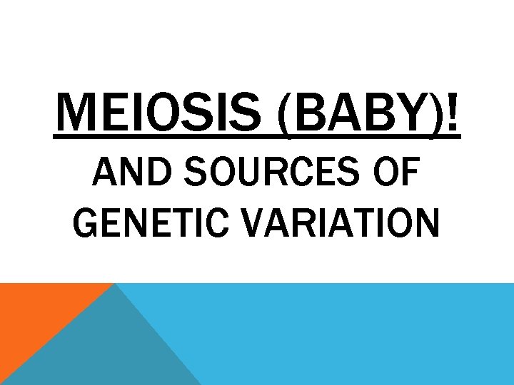 MEIOSIS (BABY)! AND SOURCES OF GENETIC VARIATION 