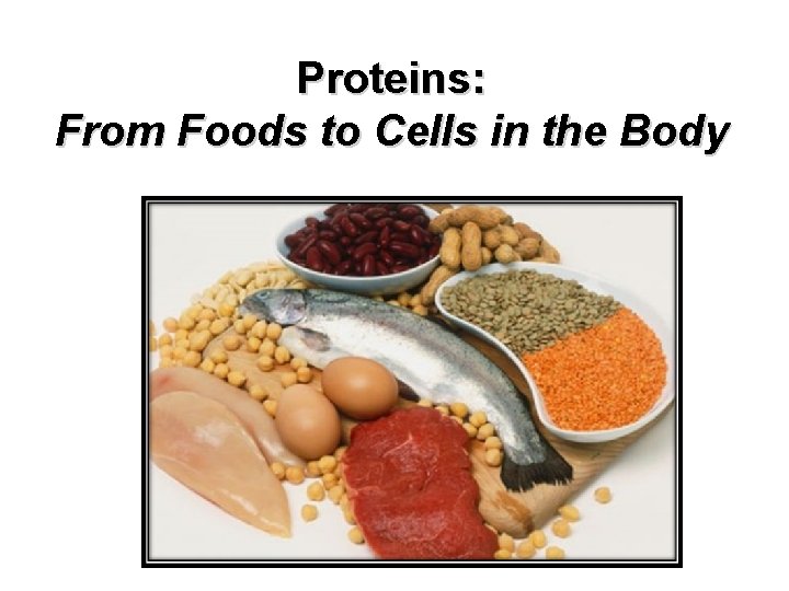Proteins: From Foods to Cells in the Body 