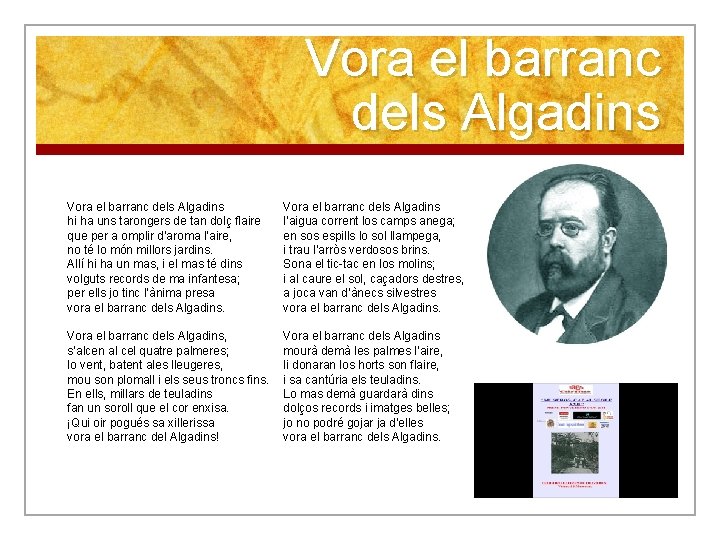 Vora el barranc dels Algadins hi ha uns tarongers de tan dolç flaire que