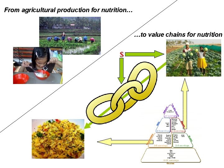 From agricultural production for nutrition… …to value chains for nutrition $ 