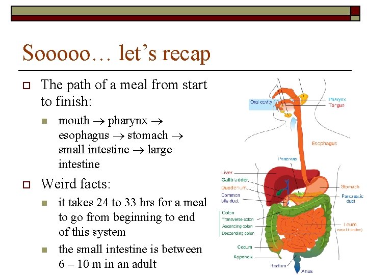 Sooooo… let’s recap o The path of a meal from start to finish: n