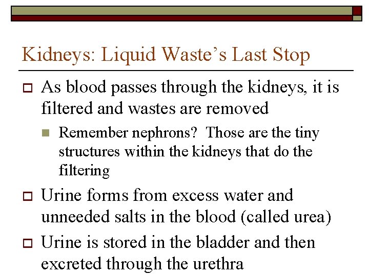 Kidneys: Liquid Waste’s Last Stop o As blood passes through the kidneys, it is