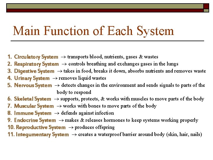 Main Function of Each System 1. 2. 3. 4. 5. Circulatory System transports blood, Main Function of Each System 1. 2. 3. 4. 5. Circulatory System transports blood,