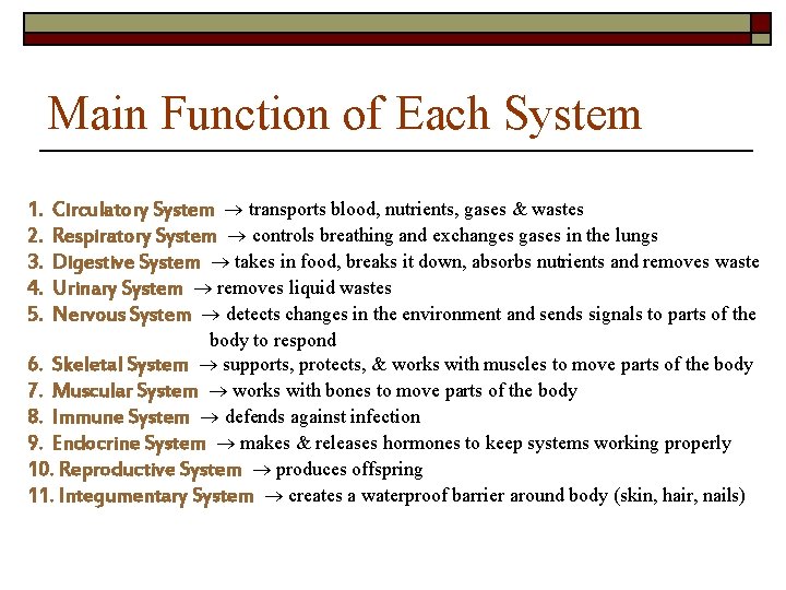 Main Function of Each System 1. 2. 3. 4. 5. Circulatory System transports blood,