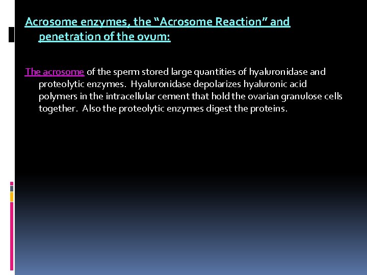 Acrosome enzymes, the “Acrosome Reaction” and penetration of the ovum: The acrosome of the