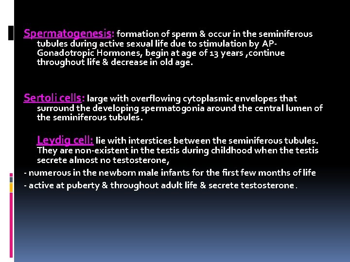 Spermatogenesis: formation of sperm & occur in the seminiferous tubules during active sexual life