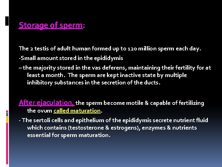 Storage of sperm: The 2 testis of adult human formed up to 120 million