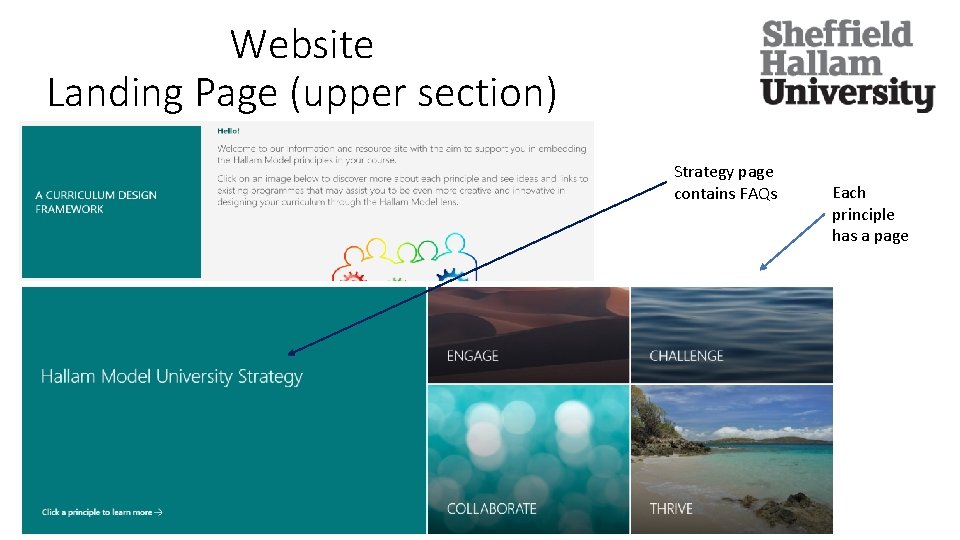 Website Landing Page (upper section) Strategy page contains FAQs Each principle has a page