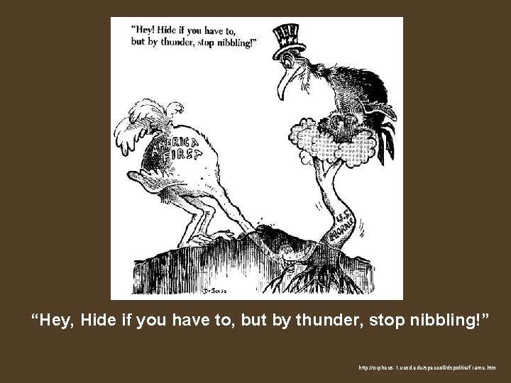 “Hey, Hide if you have to, but by thunder, stop nibbling!” http: //orpheus-1. ucsd.