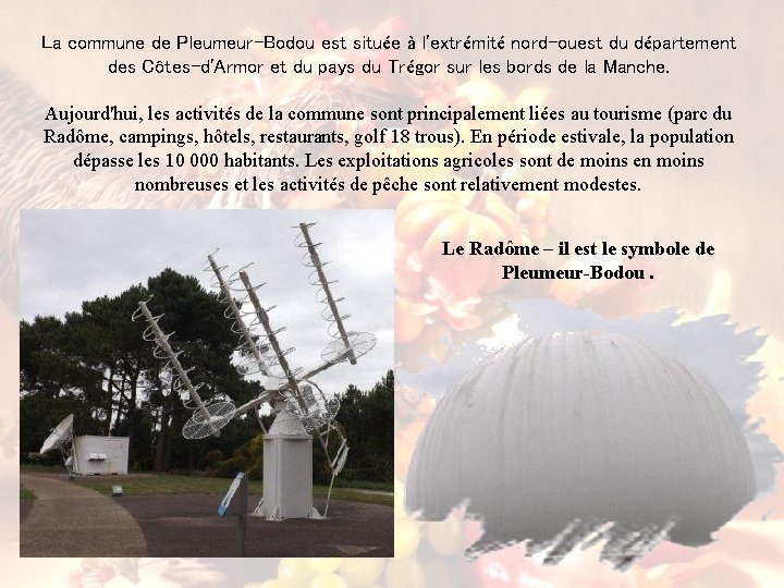 La commune de Pleumeur-Bodou est située à l'extrémité nord-ouest du département des Côtes-d'Armor et