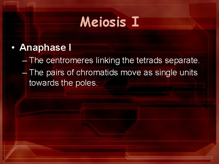 Meiosis I • Anaphase I – The centromeres linking the tetrads separate. – The