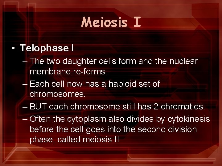 Meiosis I • Telophase I – The two daughter cells form and the nuclear