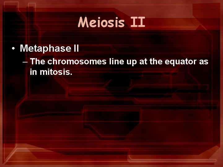 Meiosis II • Metaphase II – The chromosomes line up at the equator as