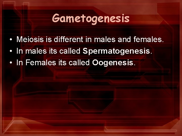 Gametogenesis • Meiosis is different in males and females. • In males its called