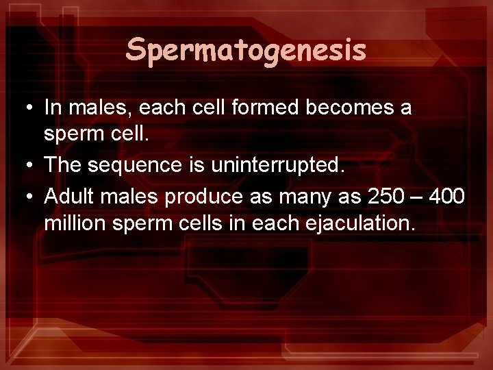 Spermatogenesis • In males, each cell formed becomes a sperm cell. • The sequence