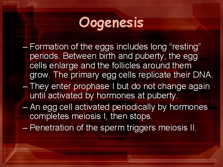 Oogenesis – Formation of the eggs includes long “resting” periods. Between birth and puberty,
