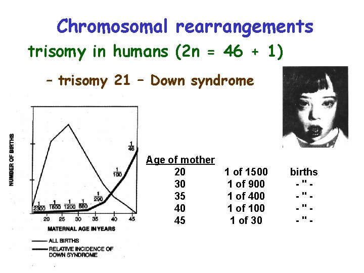 Chromosomal rearrangements trisomy in humans (2 n = 46 + 1) – trisomy 21