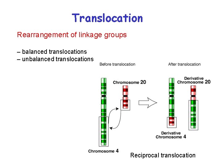 Translocation Rearrangement of linkage groups – balanced translocations – unbalanced translocations Reciprocal translocation 