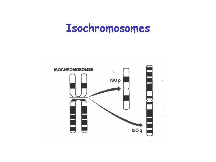 Isochromosomes 