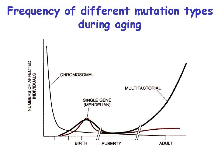 Frequency of different mutation types during aging 