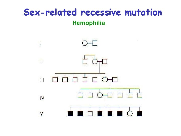 Sex-related recessive mutation Hemophilia 