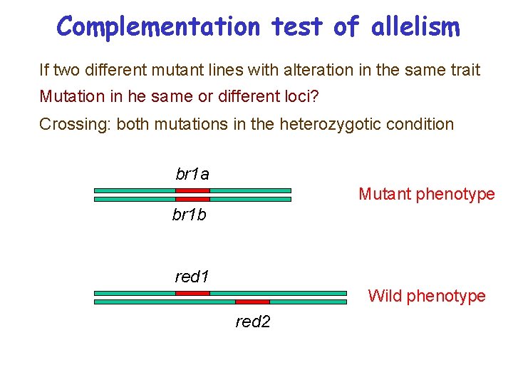 Complementation test of allelism If two different mutant lines with alteration in the same
