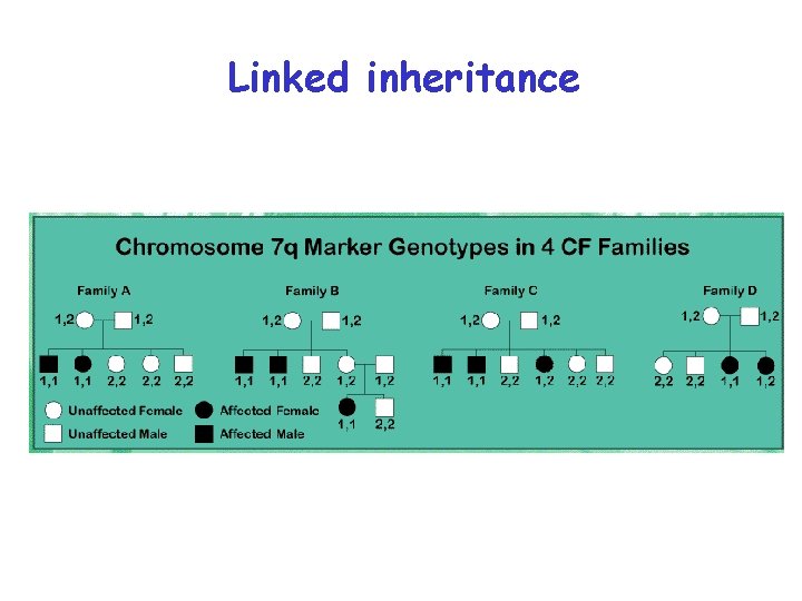 Linked inheritance 