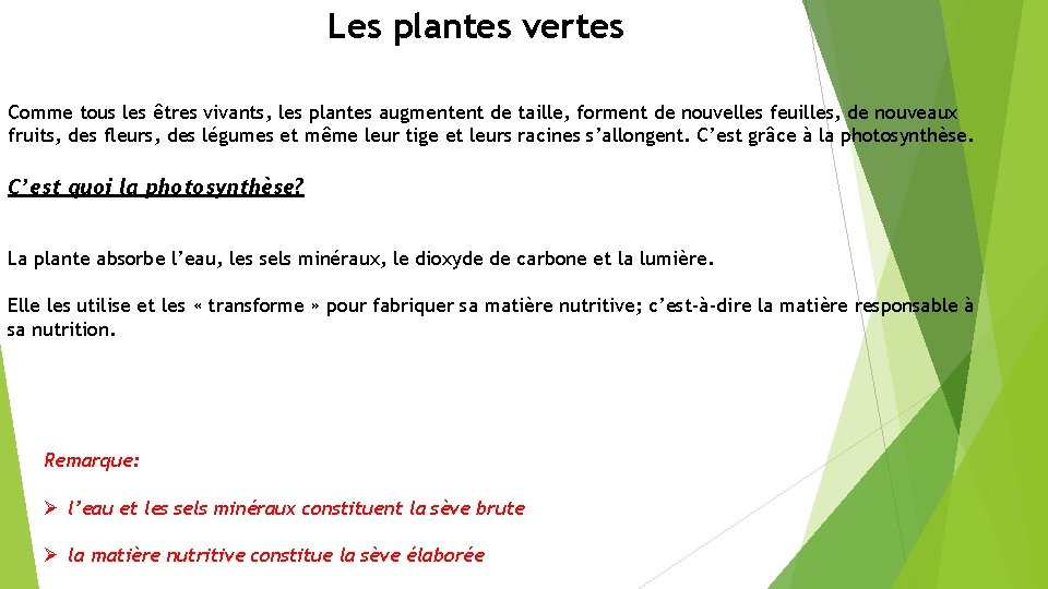 Les plantes vertes Comme tous les êtres vivants, les plantes augmentent de taille, forment