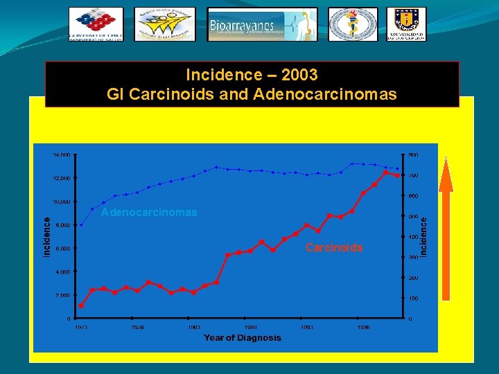 Incidence – 2003 GI Carcinoids and Adenocarcinomas Carcinoids Incidence – 2003 GI Carcinoids and Adenocarcinomas Carcinoids