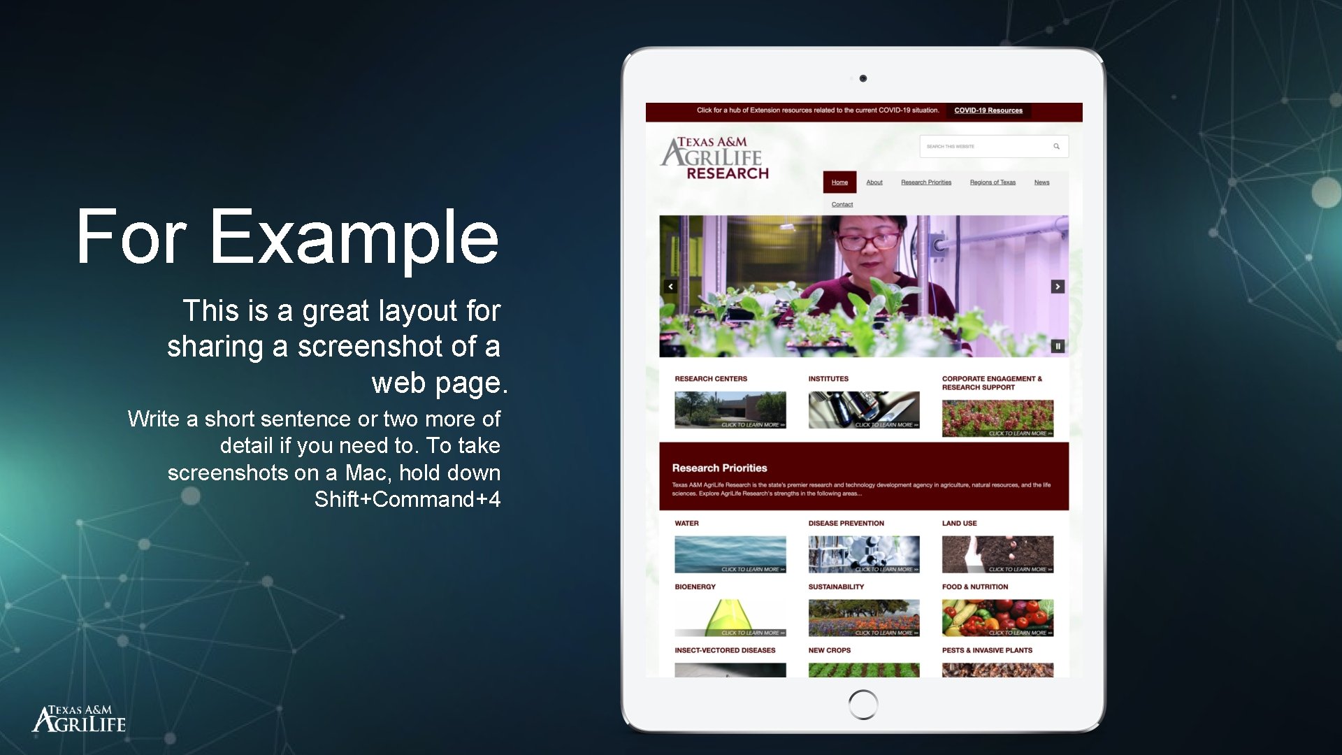 For Example This is a great layout for sharing a screenshot of a web