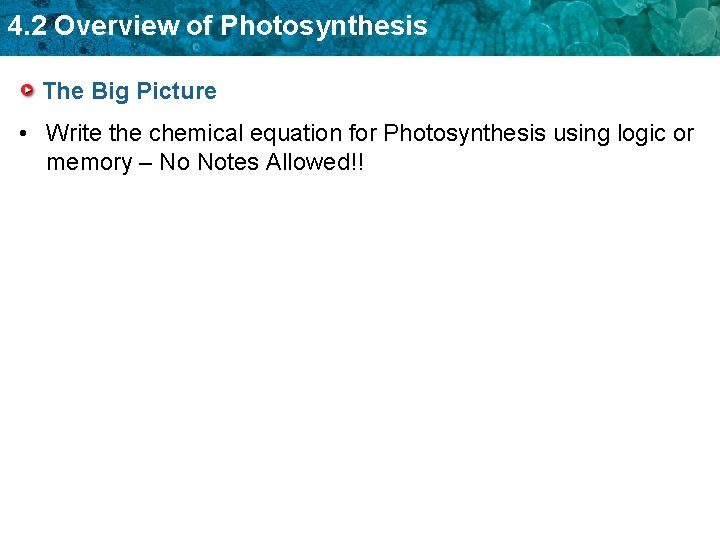 4. 2 Overview of Photosynthesis The Big Picture • Write the chemical equation for