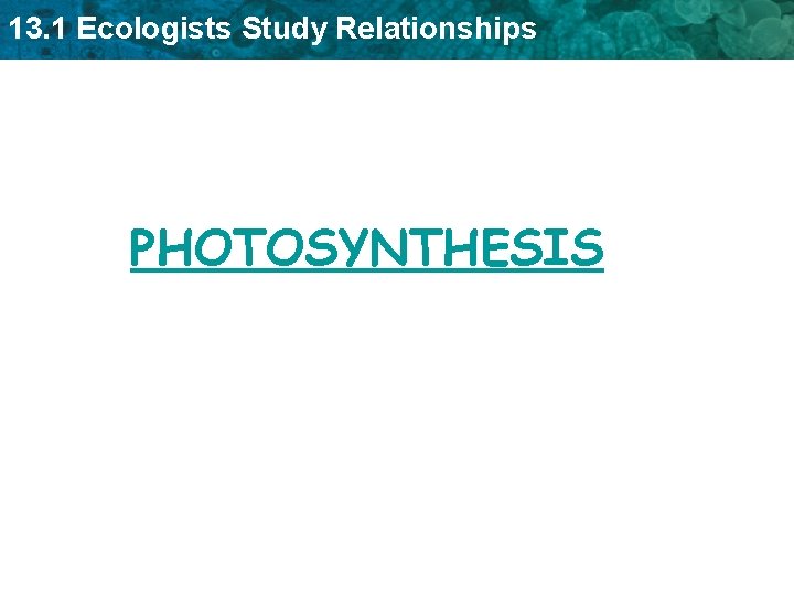 13. 1 Ecologists Study Relationships PHOTOSYNTHESIS 