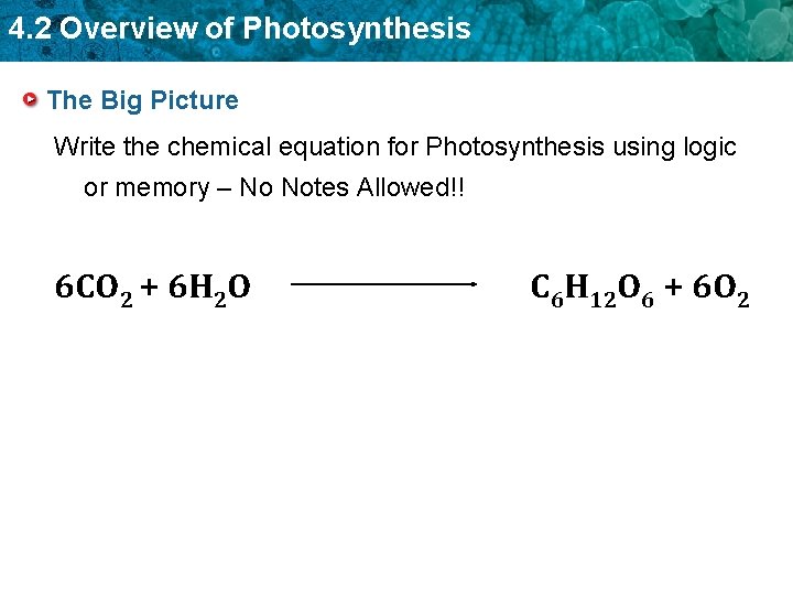 4. 2 Overview of Photosynthesis The Big Picture Write the chemical equation for Photosynthesis