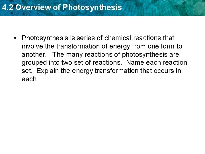 4. 2 Overview of Photosynthesis • Photosynthesis is series of chemical reactions that involve