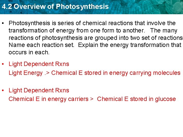 4. 2 Overview of Photosynthesis • Photosynthesis is series of chemical reactions that involve