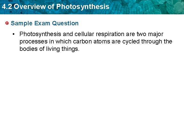 4. 2 Overview of Photosynthesis Sample Exam Question • Photosynthesis and cellular respiration are