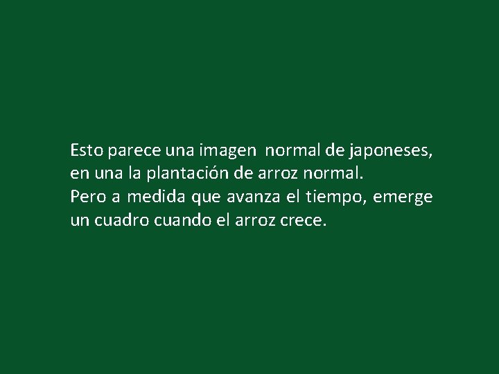 Esto parece una imagen normal de japoneses, en una la plantación de arroz normal.