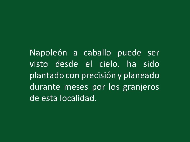 Napoleón a caballo puede ser visto desde el cielo. ha sido plantado con precisión