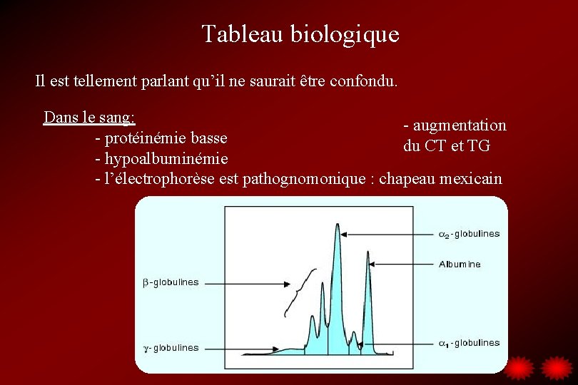 Tableau biologique Il est tellement parlant qu’il ne saurait être confondu. Dans le sang: