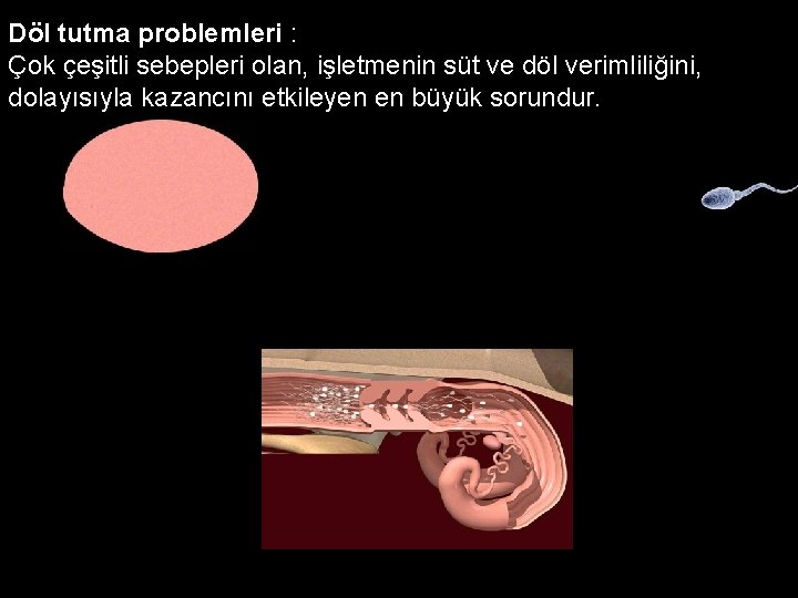 D Döl tutma problemleri : Çok çeşitli sebepleri olan, işletmenin süt ve döl verimliliğini,