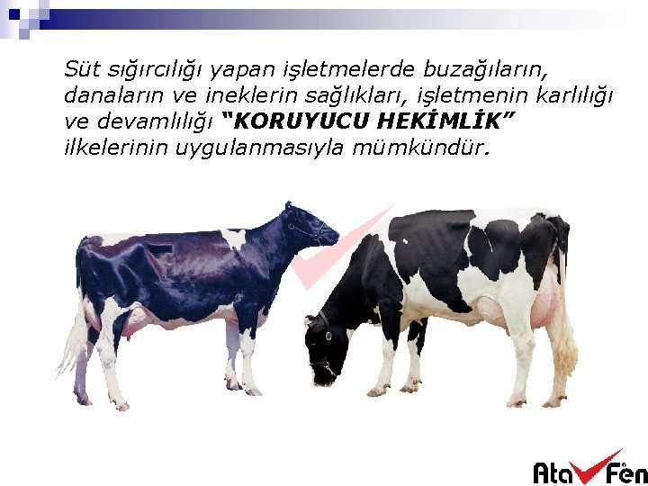 Süt sığırcılığı yapan işletmelerde buzağıların, danaların ve ineklerin sağlıkları, işletmenin karlılığı ve devamlılığı “KORUYUCU