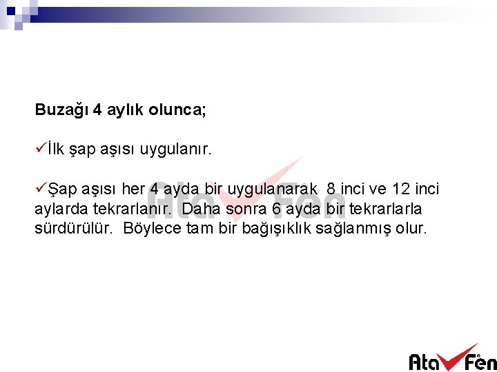 Buzağı 4 aylık olunca; üİlk şap aşısı uygulanır. üŞap aşısı her 4 ayda bir