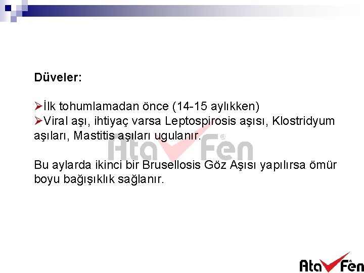 Düveler: Øİlk tohumlamadan önce (14 -15 aylıkken) ØViral aşı, ihtiyaç varsa Leptospirosis aşısı, Klostridyum