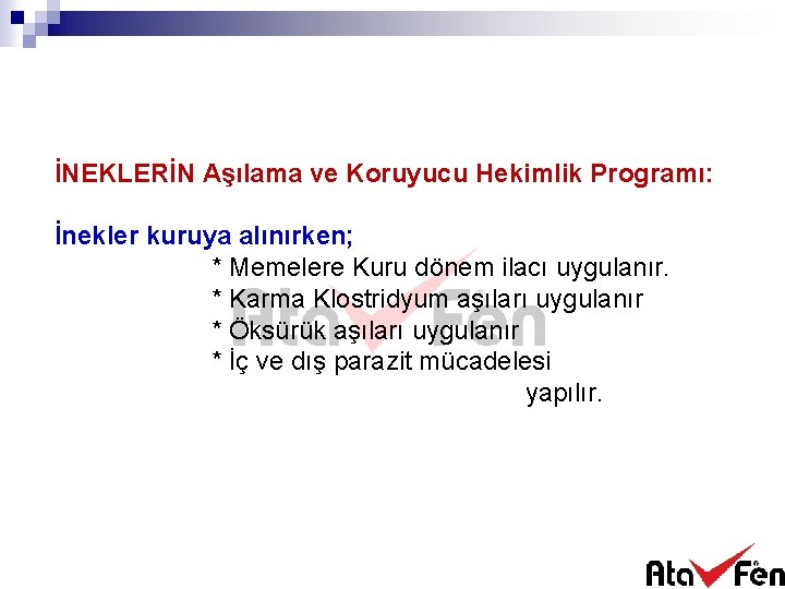 İNEKLERİN Aşılama ve Koruyucu Hekimlik Programı: İnekler kuruya alınırken; * Memelere Kuru dönem ilacı