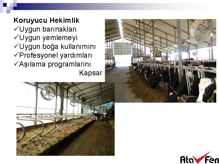 Koruyucu Hekimlik üUygun barınakları üUygun yemlemeyi üUygun boğa kullanımını üProfesyonel yardımları üAşılama programlarını Kapsar