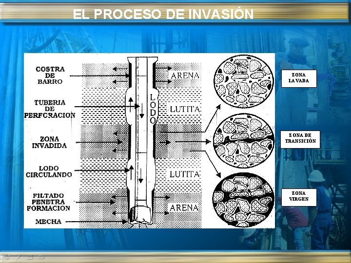 EL PROCESO DE INVASIÓN ZONA LAVADA ZONA DE TRANSICIÓN ZONA VIRGEN 