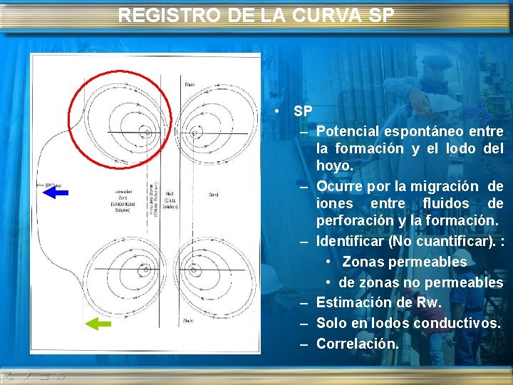 REGISTRO DE LA CURVA SP • SP – Potencial espontáneo entre la formación y